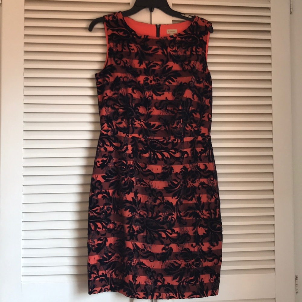 Cremieux Holly/Icon Dress NWT